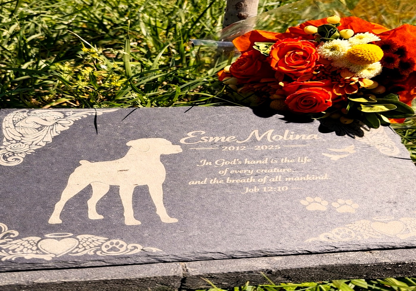 Custom engraved slate pet memorial stone with dog silhouette, name Esme Molina, dates 2012–2025 and scripture